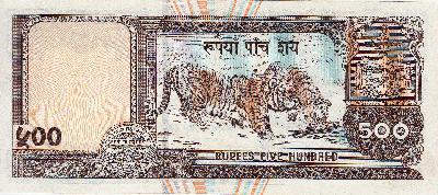 Beschrijving achterzijde: TIGERS